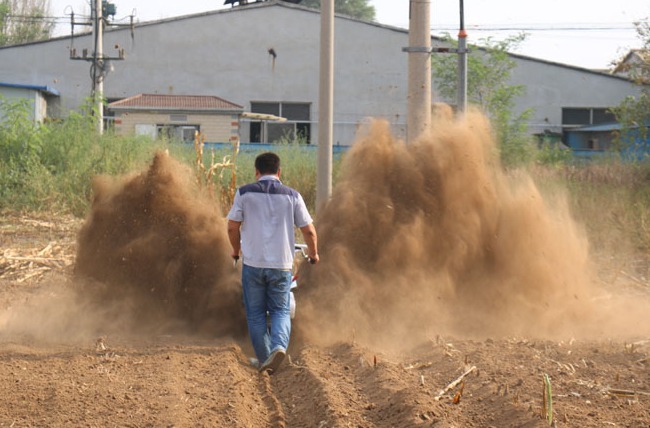 狐朋狗友 第2页