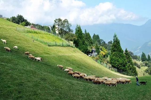 久久青青草原精品国产:09-13-22-26-29-47N：36,久久青青草原的精品国产魅力，一段跨越时空的视听盛宴