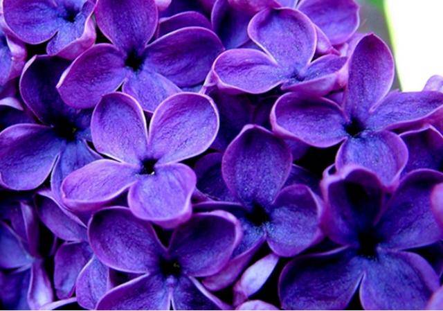 久久五月丁香激情综合:04-06-14-33-35-42M:38,久久五月丁香激情综合,一场时间的盛宴与数字的魅力