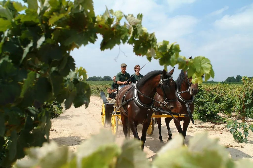 欧美精品一产区二产区:07-10-18-20-24-38Y:38,欧美精品一产区与二产区,深度探索与独特魅力(关键词,欧美精品一产区二产区 07-10-18-20-24-38Y,38)