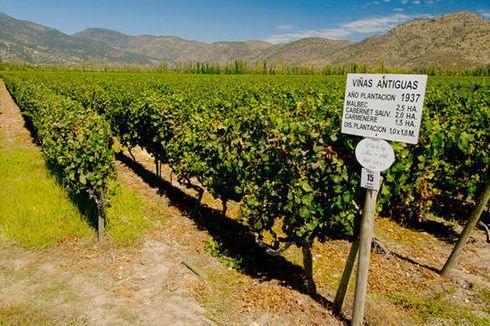 欧美精品一产区二产区:07-10-18-20-24-38Y:38,欧美精品一产区与二产区,深度探索与独特魅力(关键词,欧美精品一产区二产区 07-10-18-20-24-38Y,38)