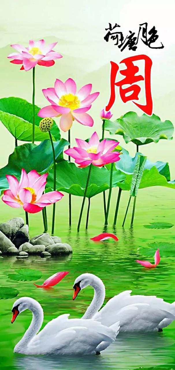 青青小草国产在线播放:03-05-13-18-31-33K:25,青青小草,国产影视的魅力与在线播放的探索