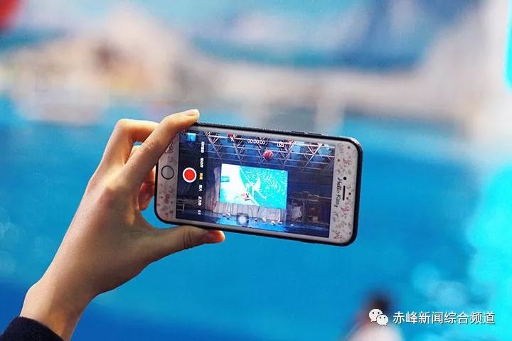 日本一二三区视频在线:03-05-14-34-35-36B:28,探索日本一二三区,在线视频的魅力与多元文化的交融