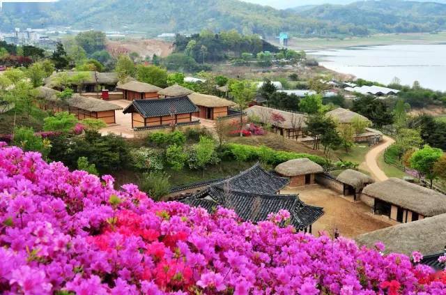 亚洲人成在线播放网站:11-29-30-33-38-47H:24,探索亚洲影视内容的新纪元,在线播放网站的新动态与深度解析