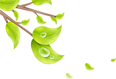 伊人依成久久人综合网:02-04-25-42-47-49X:35,伊人依成久久人综合网,探索与体验的独特魅力