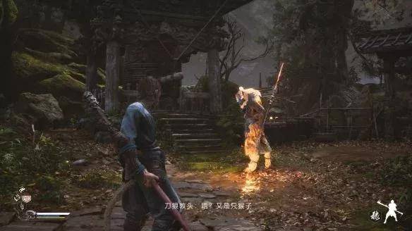 国产乱子伦精品免费视频:11-21-30-40-41-47V:25,国产乱子伦精品视频探索,从免费资源看文化多样性