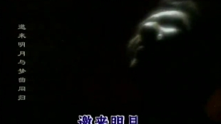 国产乱子伦午夜精品视频:12-14-27-33-48-49Y:41,关于国产乱子伦午夜精品视频的思考与探讨