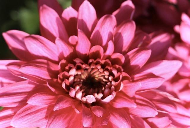 激情综合色综合久久综合:08-11-29-38-42-46V:26,激情综合色,探索多彩世界的无限魅力