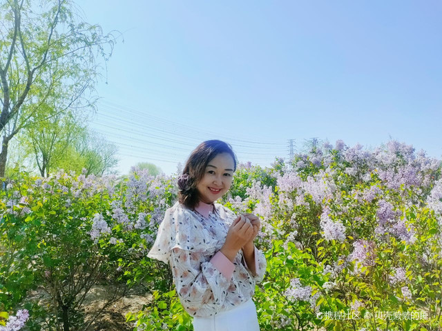 久久伊人五月丁香狠狠色:09-11-20-26-27-43N:01,久久伊人五月丁香,一场关于色彩与情感的深度探索之旅