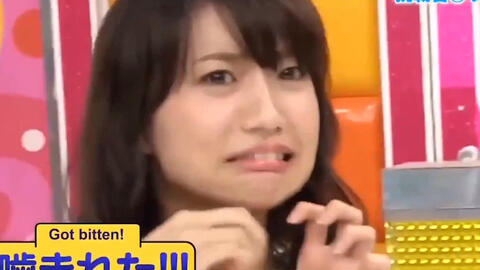 天天摸日日添狠狠添婷婷:10-19-22-27-28-40R:36,天天摸日日添,探索婷婷的魅力之旅(2023年最新版)