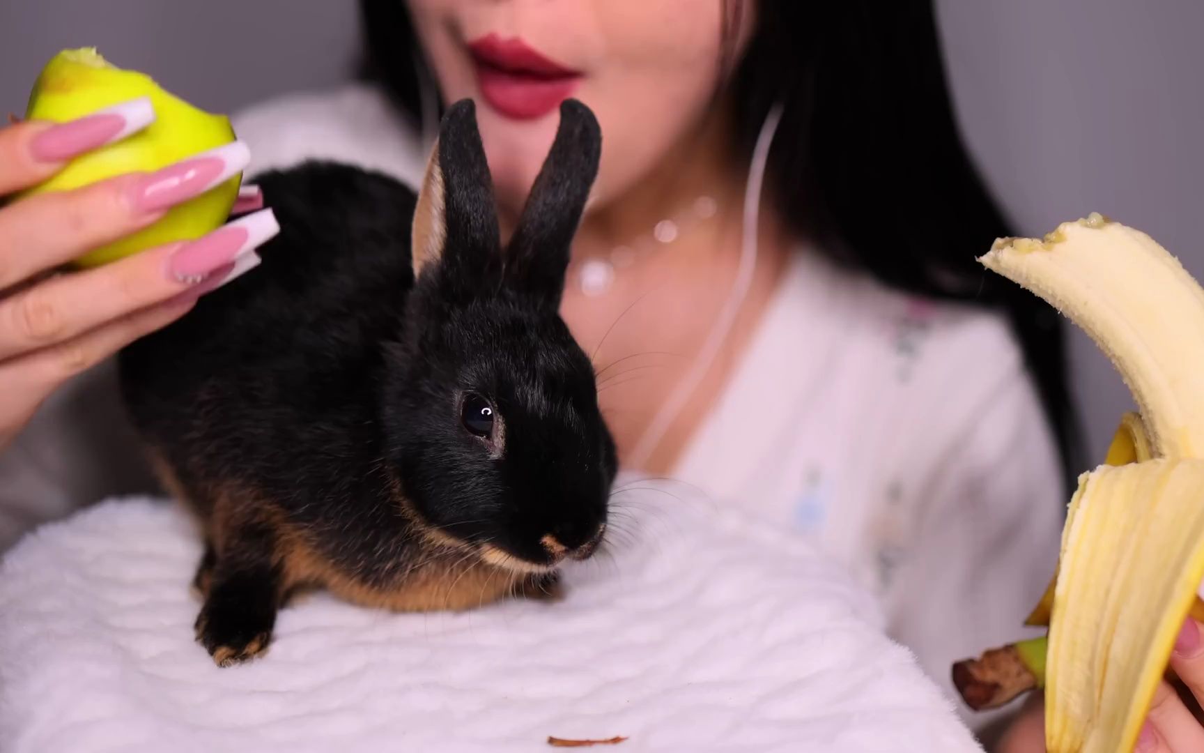 香蕉成人啪国产精品视频:05-15-24-25-26-29X:12,香蕉成人视频产业,探索国产精品视频的魅力