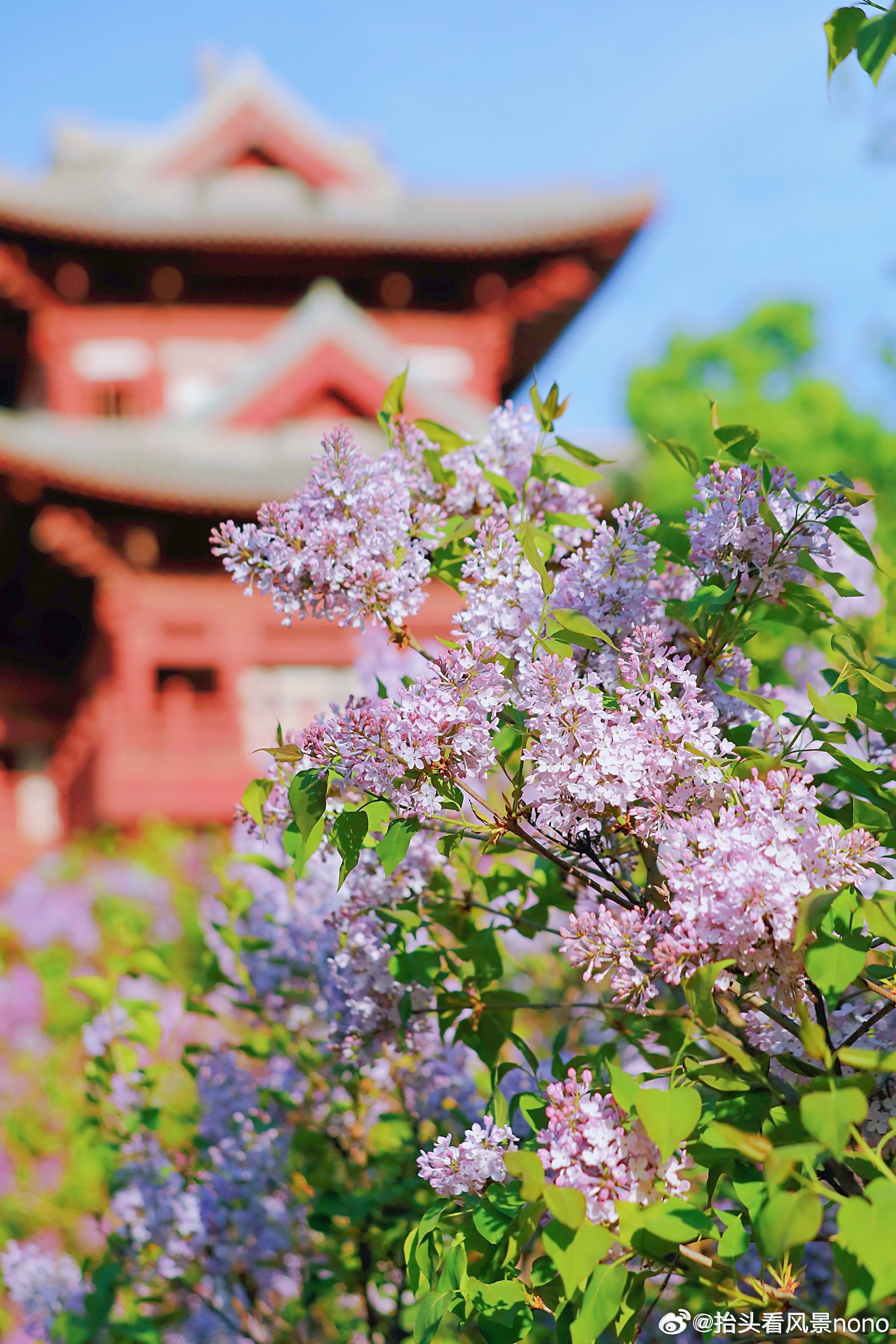 色五月五月丁香亚洲综合网:16-18-21-25-37-41G:18,色五月五月丁香与亚洲综合网,探索数字时代的文化交融与多元魅力
