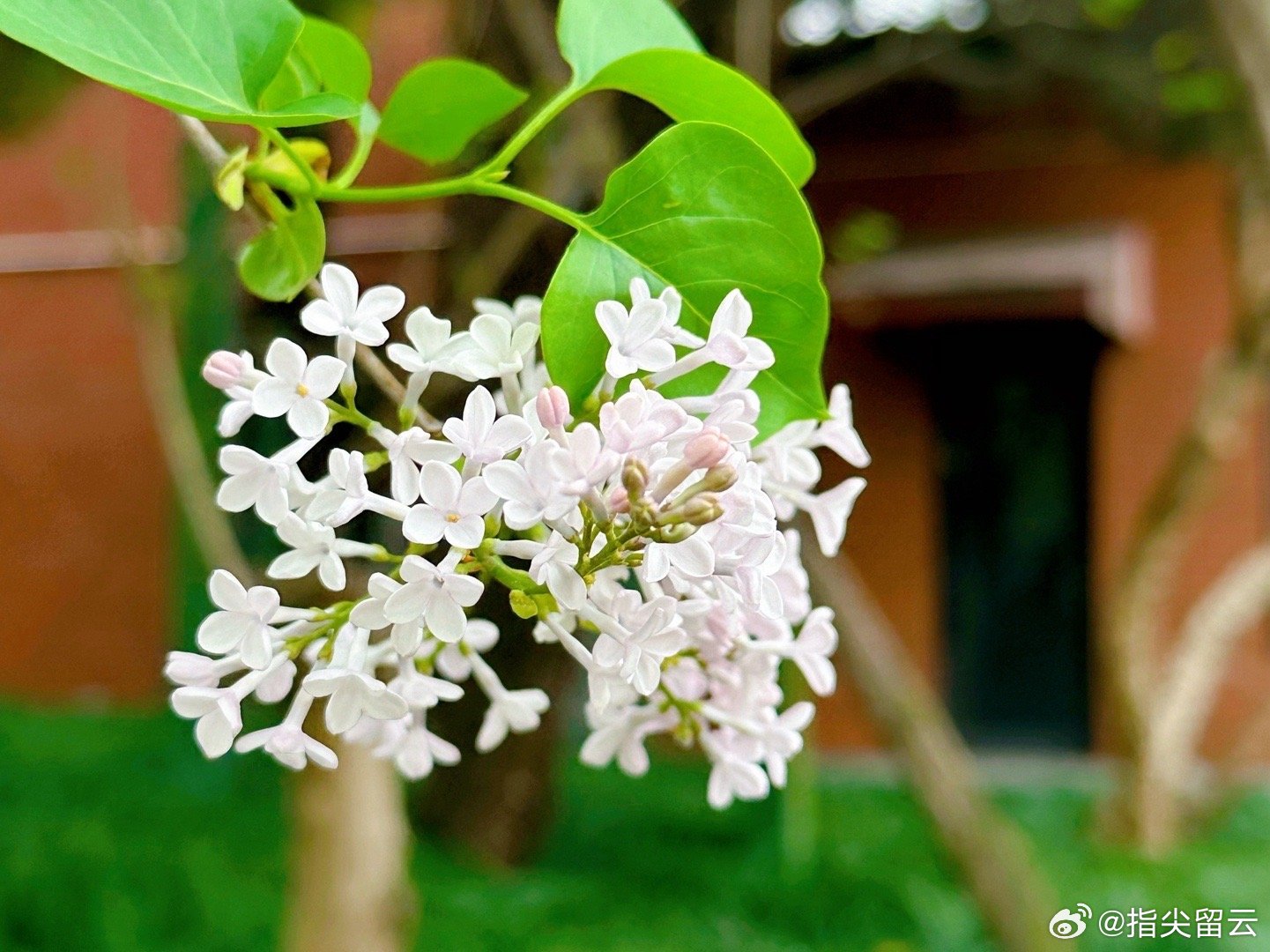 五月丁香六月综合缴清无码:01-02-16-29-41-47N:18,五月丁香与六月综合缴清,探索无码世界的奥秘与策略(关键词,01-02-16-29-41-47N,18)