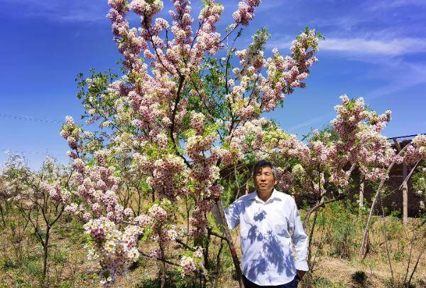 五月丁香六月综合缴情基地:01-10-12-15-22-46N:21,五月丁香与六月综合缴情基地,深度探索与独特体验(关键词,01-10-12-15-22-46N,21)