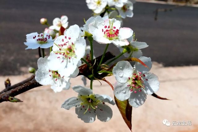 五月丁香六月综合缴情基地:01-10-12-15-22-46N:21,五月丁香与六月综合缴情基地,深度探索与独特体验(关键词,01-10-12-15-22-46N,21)