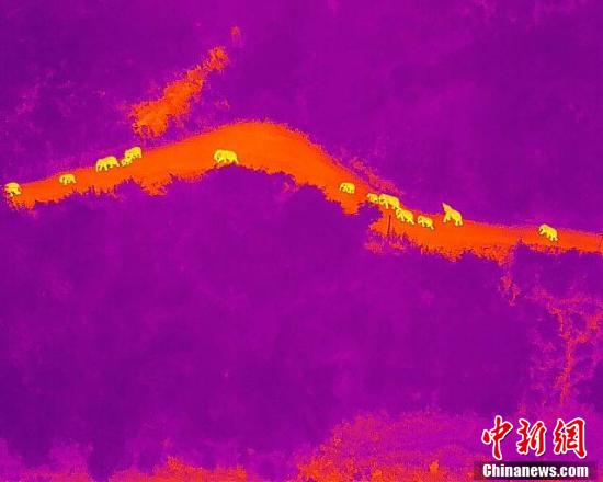 综合亚洲综合图区网友自拍:01-11-20-24-34-46W：34,综合亚洲综合图区网友自拍，探索独特视角与真实魅力的交汇点