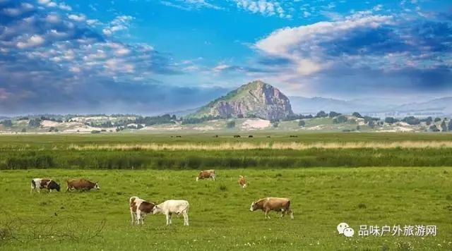 青青草原综合久久大伊人精品:03-13-24-32-34-44Q:48,青青草原综合娱乐,探索久久大伊人精品的独特魅力(关键词解析)