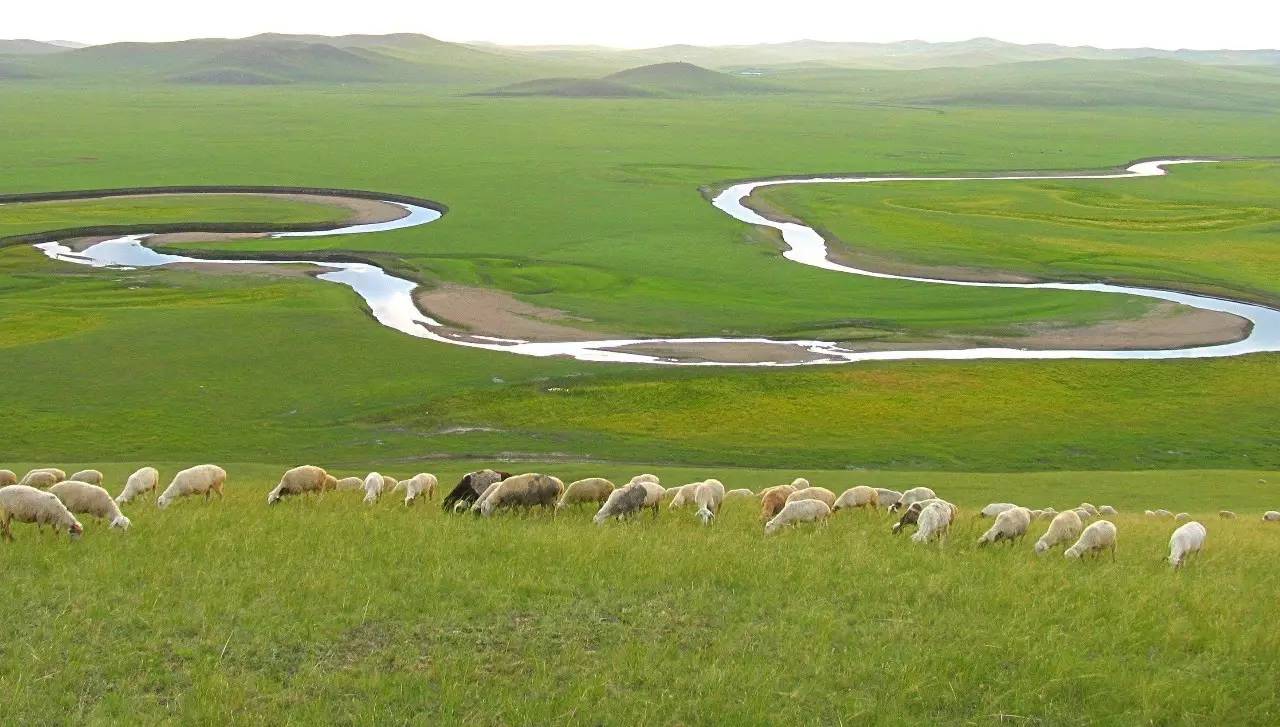 青青草原综合久久大伊人精品:03-13-24-32-34-44Q:48,青青草原综合娱乐,探索久久大伊人精品的独特魅力(关键词解析)