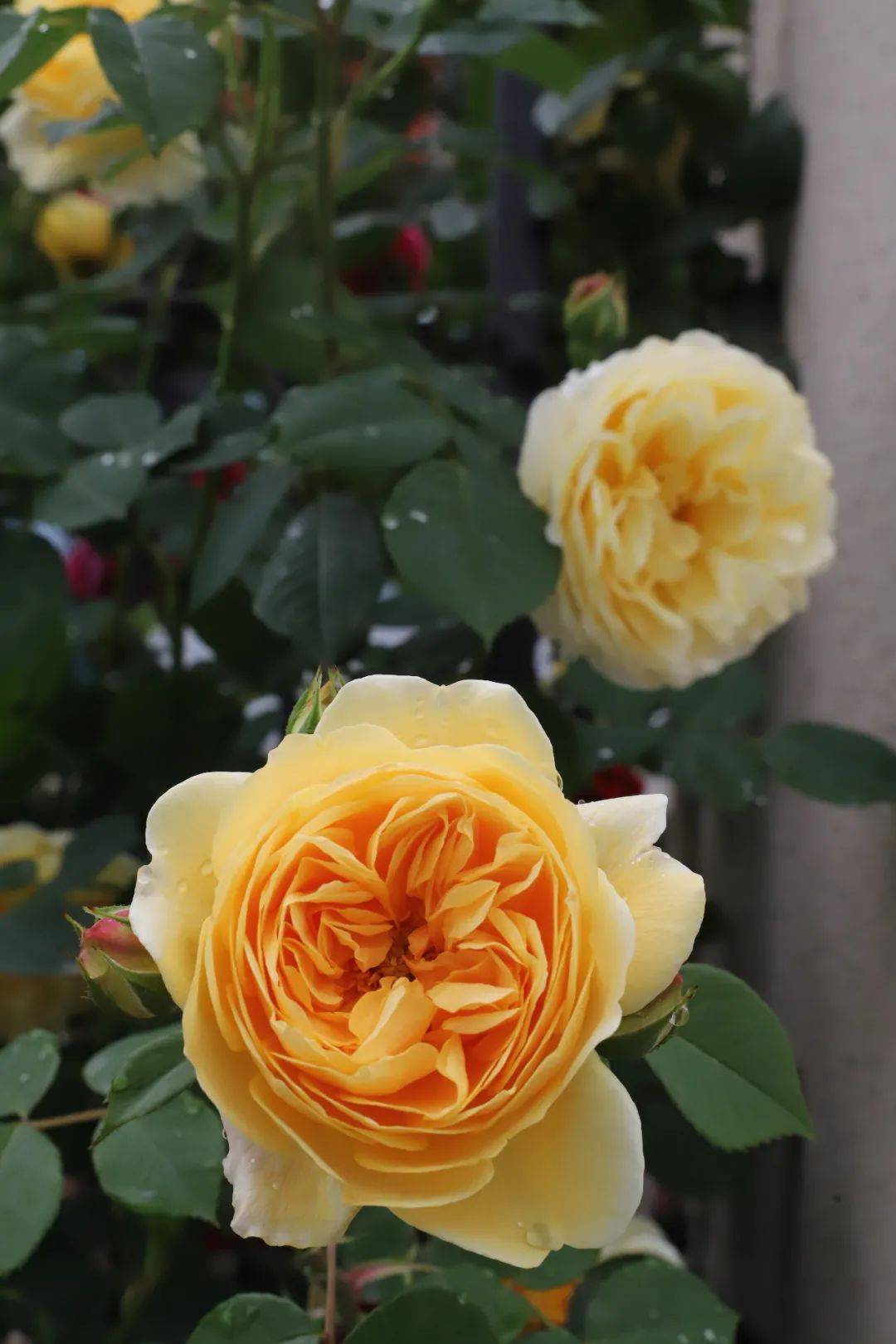 久久婷婷色综合一区二区:12-18-24-30-31-45B:41,久久婷婷色综合一区二区,探索数字背后的多彩世界