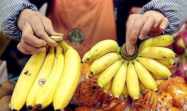 伊人久久大香线蕉亚洲:03-16-18-36-37-40L:37,伊人久久与亚洲大香线蕉的独特魅力,一场关于数字与文化的探索之旅