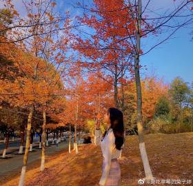 丁香五月好婷婷深深爱:09-15-22-25-38-46Q:09,丁香五月好婷婷深深爱,一场关于爱与时光的故事