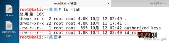 日本一区二区更新不卡:11-15-16-19-25-48R：09,探索日本一区二区更新流畅的秘密，从网络优化到技术革新，全面解析数字时代的网络体验（关键词，日本一区二区更新不卡，11-15-16-19-25-48R，09）