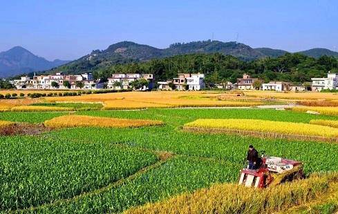 国产乡下三级全黄三级:09-12-14-33-38-42Y:36,国产影视产业中的乡土风情与三级文化,深度解读与反思