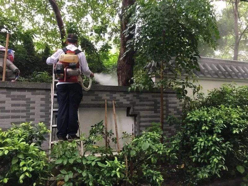 国产乡下三级全黄三级:09-12-14-33-38-42Y:36,国产影视产业中的乡土风情与三级文化,深度解读与反思