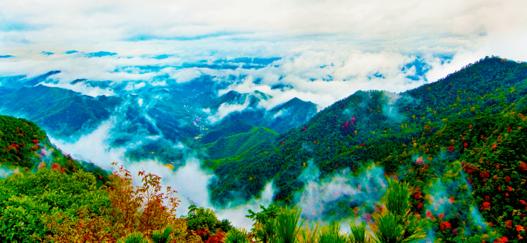 黑人又大又粗弄得我好爽:01-15-16-33-43-47M:16,关于黑人文化与个人体验的一种独特视角,一种超越刻板印象的探讨