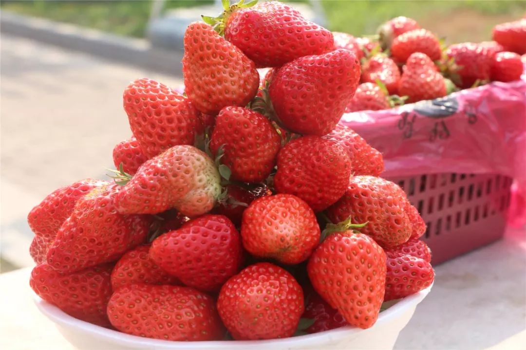 国产草莓视频无码免费视频:04-06-11-13-23-26Z:15,探索国产草莓视频的世界,无码免费,多元体验