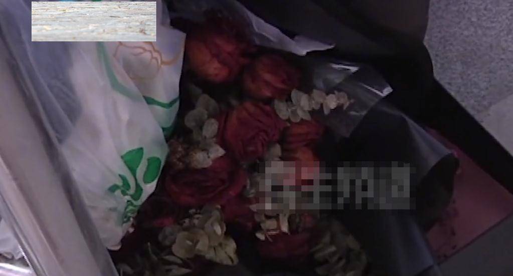 亚洲H成年动漫在线观看不卡:01-09-12-34-39-46G:44,探索亚洲H成年动漫在线观看的优质体验,流畅、多样与选择的无尽