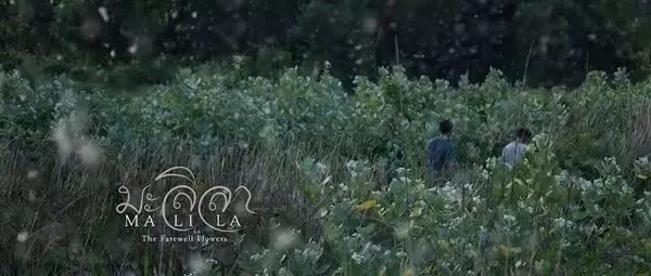 亚洲精品videofree1080:05-17-19-20-21-49U:25,亚洲精品videofree 1080,探索高质量影视内容的旅程