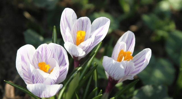 日韩一卡2卡3卡4卡2021免费:07-18-19-26-33-45X:29,探索日韩一卡系列,免费体验2卡、3卡、4卡,探寻最新优惠代码的魅力(2021年最新版)