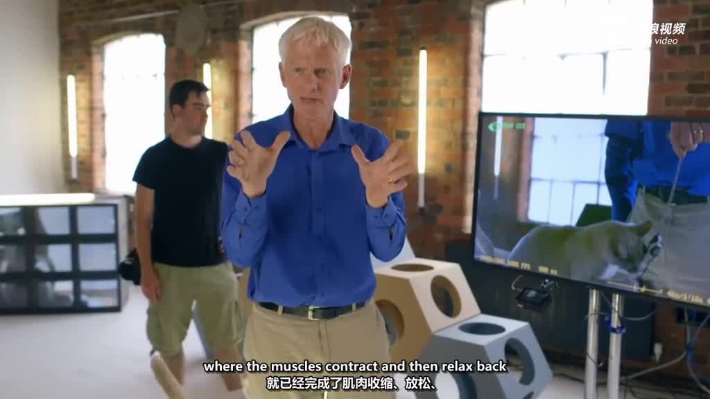 天堂AV旡码AV在线A2020V:04-06-14-33-35-42M:38,探索数字世界的神秘角落,天堂AV在线的魅力