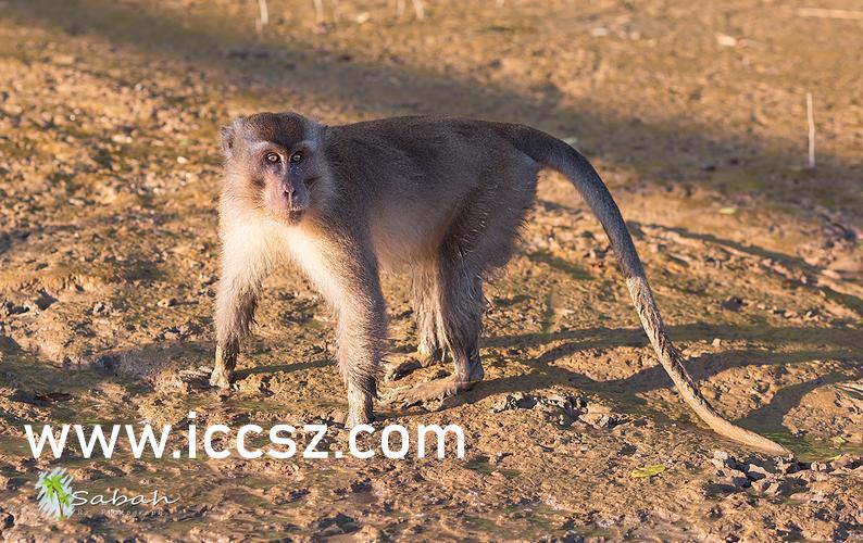 MM131少妇午夜福利视频APP:04-06-19-30-34-49V:41,探索MM131少妇午夜福利视频APP,一场深夜的娱乐之旅