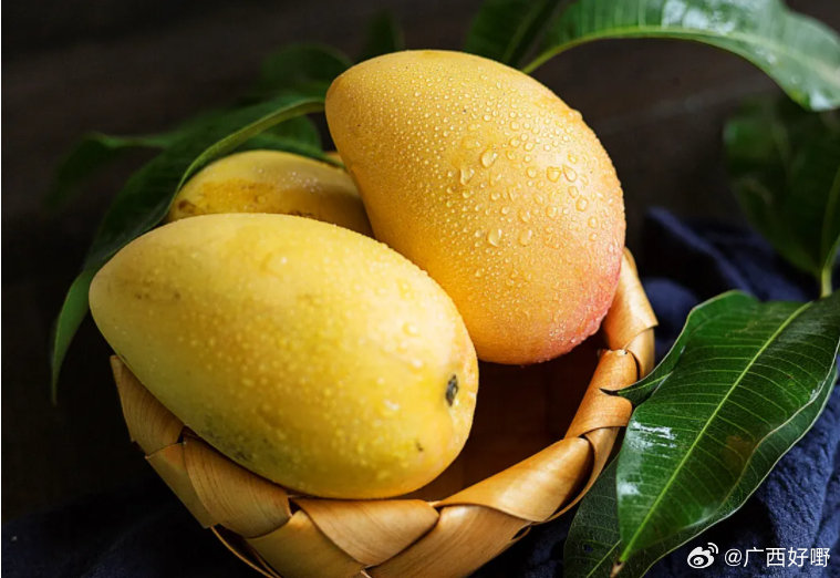 1区1区3区4区产品乱码芒果精品:03-05-14-34-35-36B:28,探索产品乱码背后的奥秘,芒果精品系列在区域市场的独特挑战与机遇