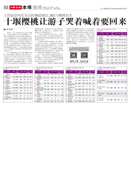 1区2区3区4区产品乱码芒果白狼:09-12-19-20-38-43Y:07,探索产品乱码背后的故事,芒果白狼与区域之谜