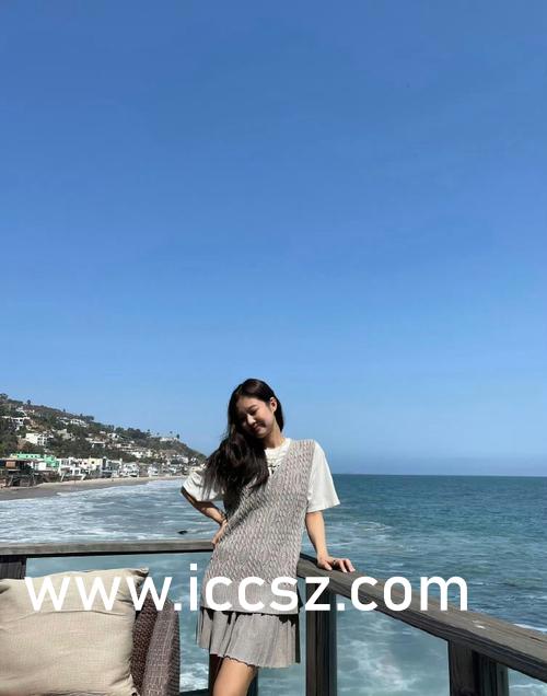 日韩高清卡1卡2卡3麻豆无卡网站:02-12-13-23-24-48Z：39,日韩高清卡1卡2卡3麻豆无卡网站，探索数字时代的文化交融与娱乐新境界