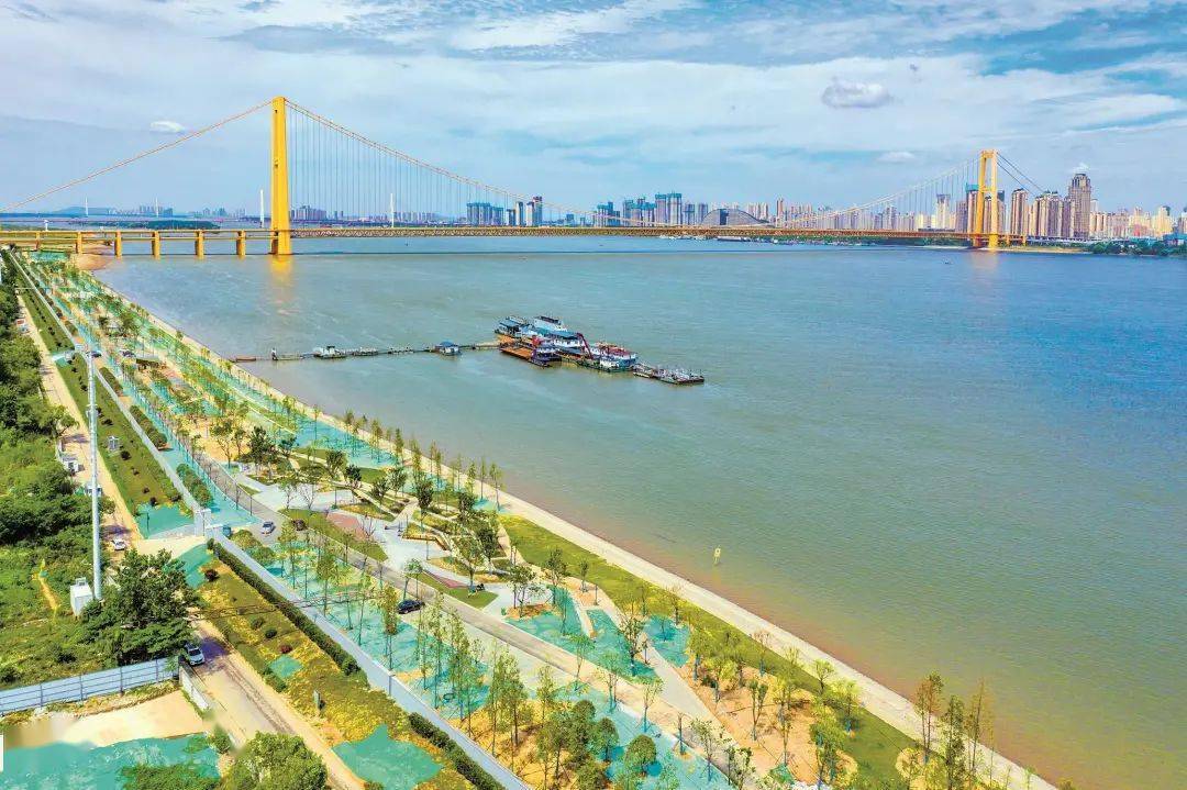 日韩精品一卡2卡3卡4卡新区视频:14-19-23-24-44-46J：21,探索日韩精品视频新区，一卡到四卡的多彩世界（14-19-23-24-44-46J深度解析）