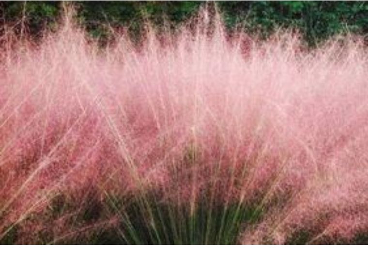 japanesexxxx乱子少妇:01-07-08-11-17-37A:28,色情内容是不合法的,违反我国相关的法律法规。我们应该遵守法律和道德准则,远离色情内容。如果您有其他有益身心的娱乐需求,可以寻找一些正规的平台或文化活动,例如观看电影、参加体育运动,以丰富您的生活。