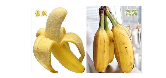 国产碰在79香蕉人人澡人人看喊:01-10-12-28-31-37J:05,国产碰撞与香蕉文化,一场视觉盛宴的探讨