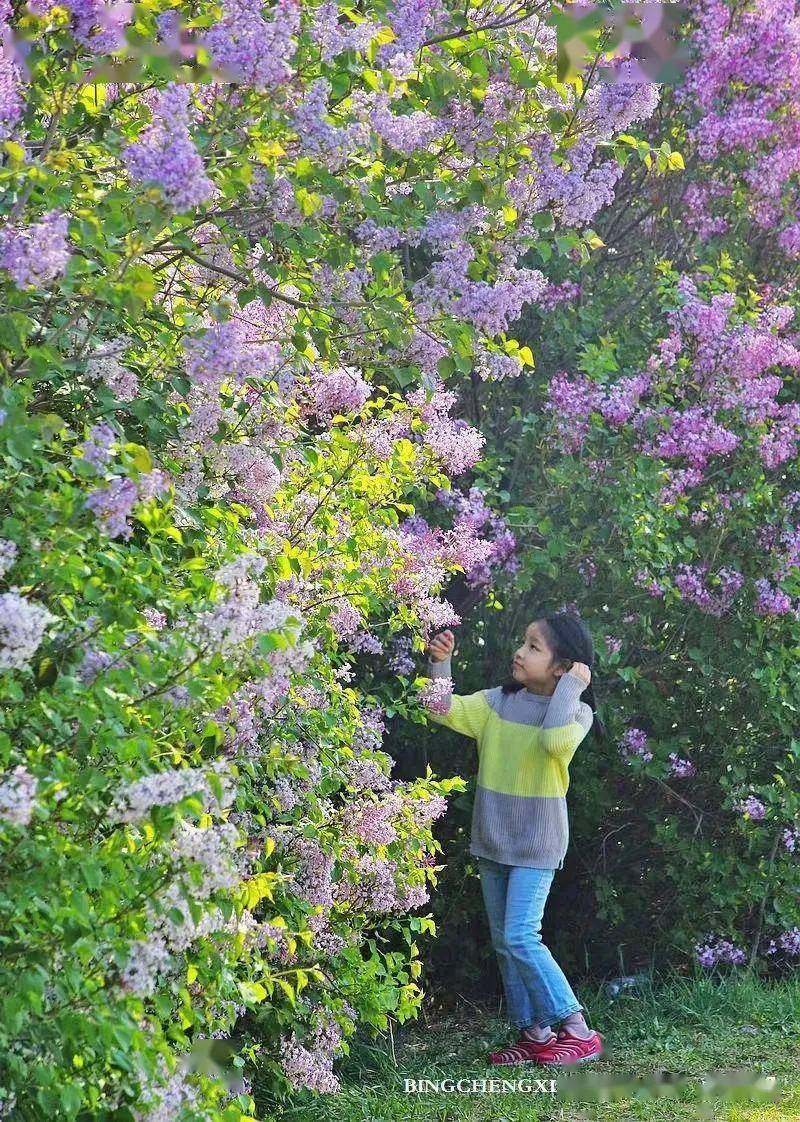 激情综合色综合啪啪五月丁香搜索:06-10-16-23-41-43H:20,激情综合色与五月丁香的探索之旅,一场感官与心灵的盛宴(搜索关键词,激情综合色综合啪啪五月丁香搜索,06-10-16-23-41-43H,20)