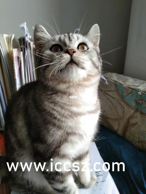 性色AV一区二区三区V视界影院:01-16-32-34-36-45K:27,探索影视新领域,性色AV与V视界影院的不同分区