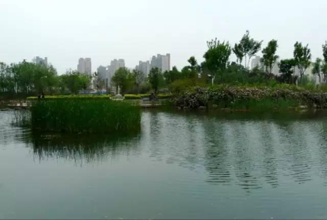 国内精品一线二线三线区别在哪里:05-11-16-28-37-38H:35,国内精品一线二线三线区别在哪里,05-11-16-28-37-38H与探讨其背后的深层含义