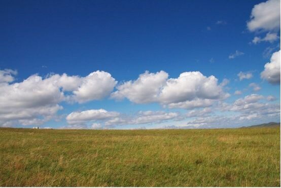 亚洲高清国产av拍精品青青草原:03-07-11-26-27-31B:02,青青草原上的视听盛宴,亚洲高清国产AV精品拍摄探索