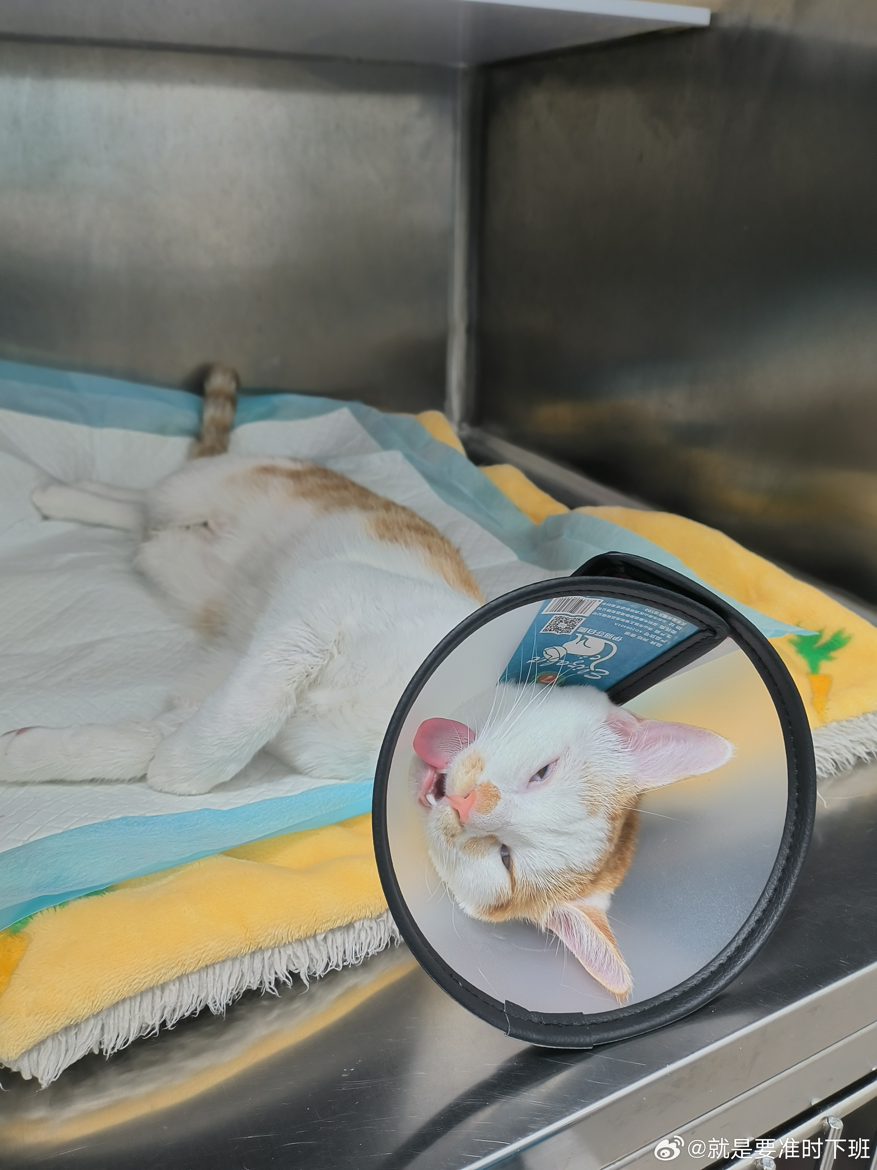 抽搐一进一出gif120秒试看:07-14-20-23-37-44Q：36,关于抽搐一进一出GIF的动态探索，一种复杂现象的解读（文章）