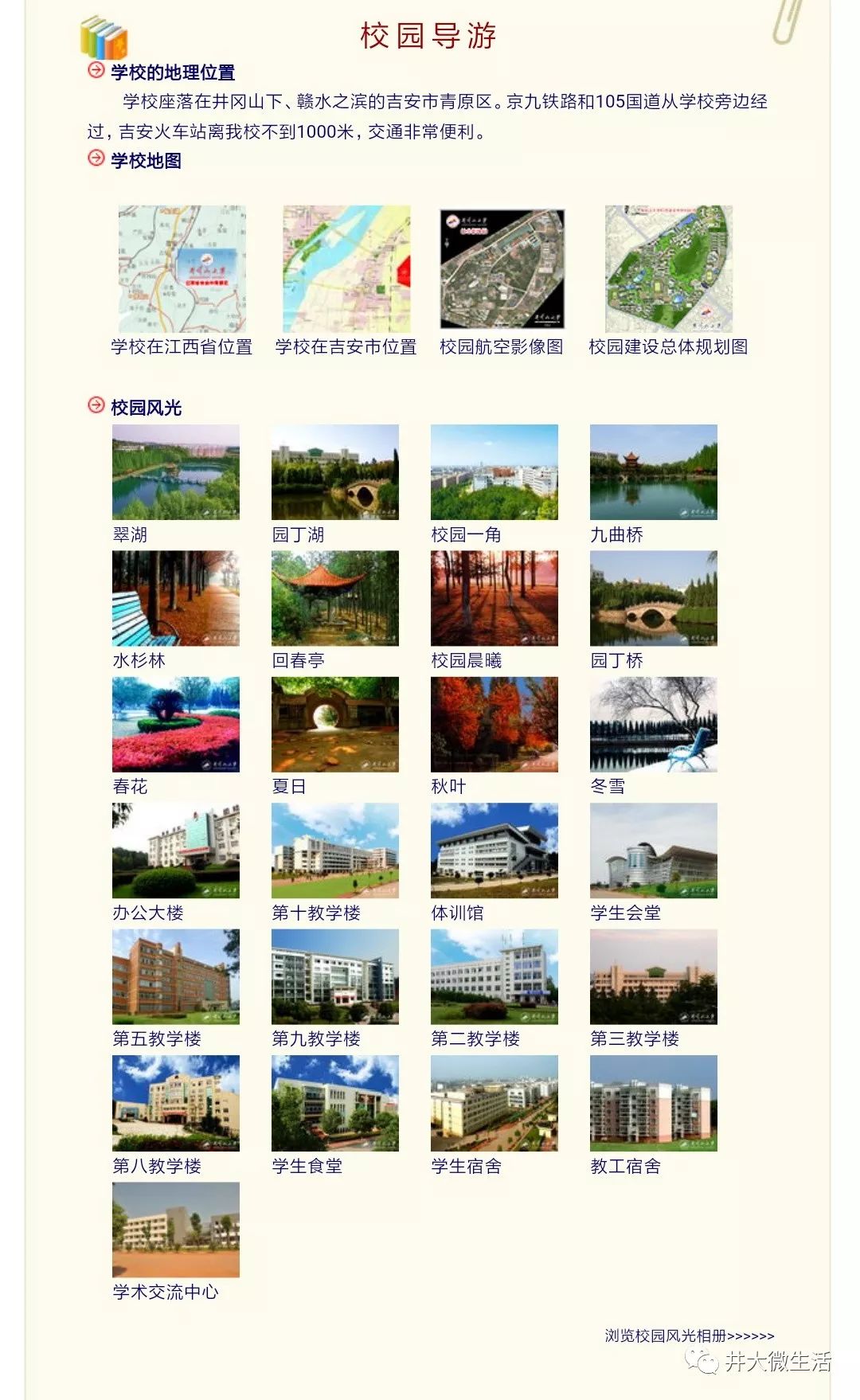 国产成人8x人网站视频在线观看:13-15-16-22-35-38L:14,关于国产成人网站视频在线观看的探讨