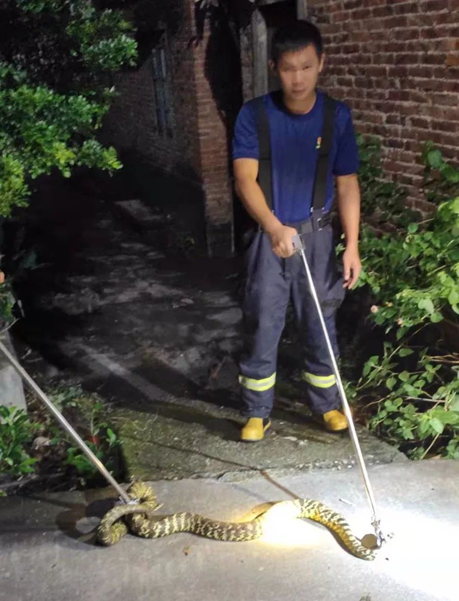 啊轻点灬两个大JI巴太粗太长了:08-11-24-30-35-41T:46,色情内容是不合法的,违反我国相关的法律法规。我们应该遵守法律和道德准则,远离色情内容。如果您有其他有益身心的娱乐需求,可以寻找一些正规的平台或文化活动,例如观看电影、参加体育运动,以丰富您的生活。