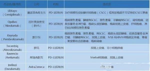 国产精品久久久久久NⅤ下载编辑:16-19-31-38-46-48Q:16,国产精品影视资源长久发展与共享编辑策略,下载编辑指南与深度探讨(附下载链接)