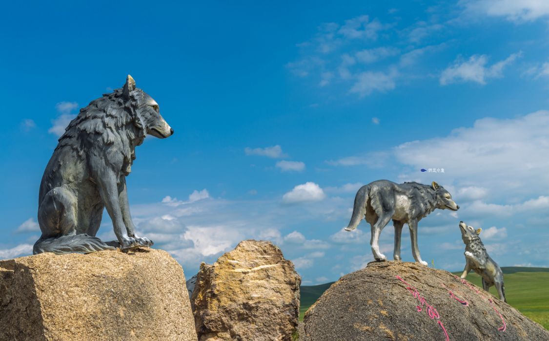 97SE狠狠狠狠狼鲁亚洲综合色:06-08-15-29-44-49A:33,探索97SE狠狠狼鲁亚洲综合色的奇幻之旅,一场数字与色彩的交织盛宴